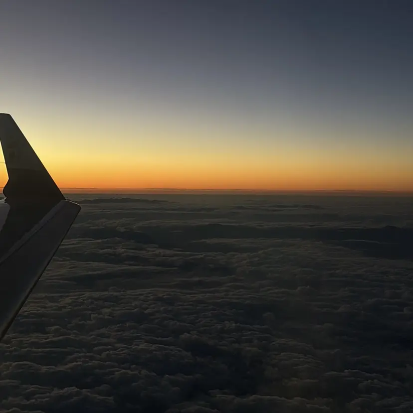 ヤマノウチ アヤカの掲載