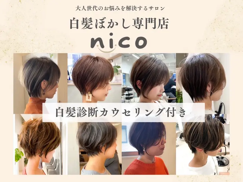 Kakimoto Rinaの掲載