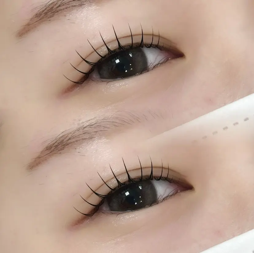 ラブニールハトル🌷 有川の掲載