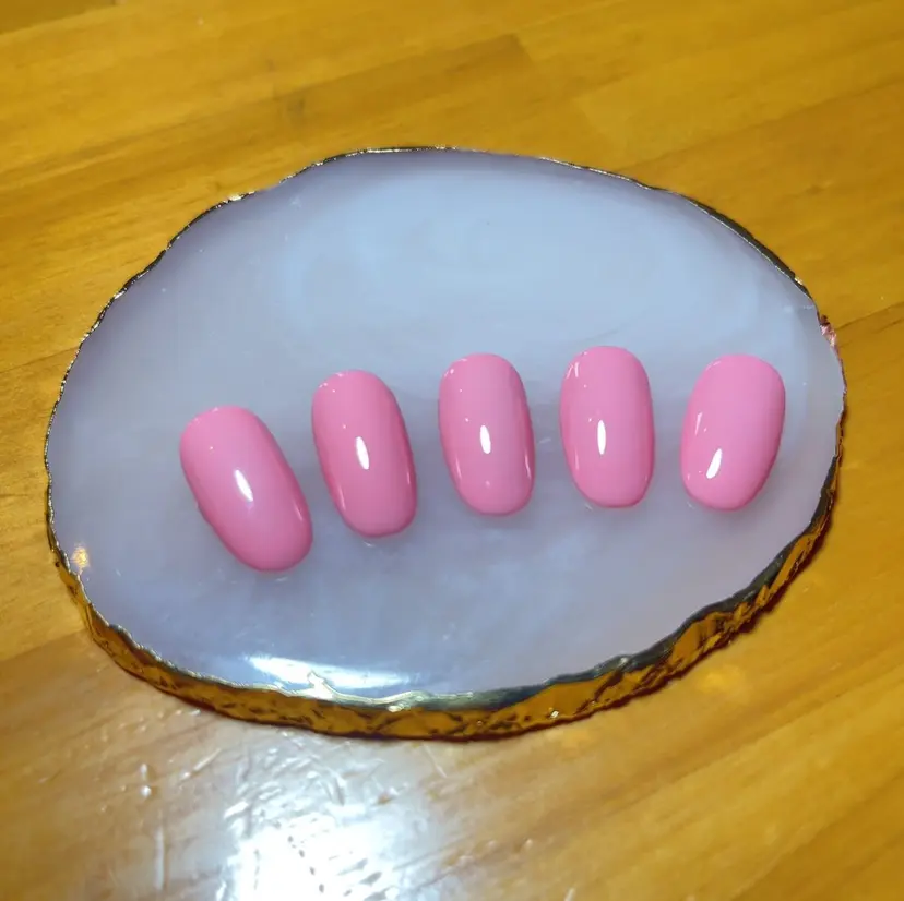 安部 紗香の掲載