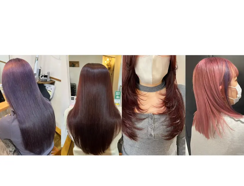 勢力 星南の掲載