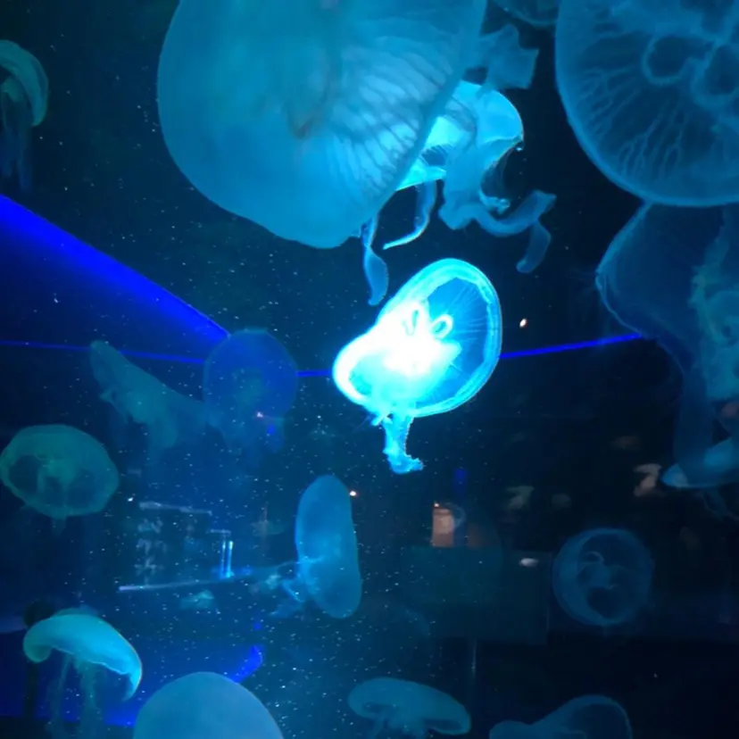 水田 誠貴の掲載