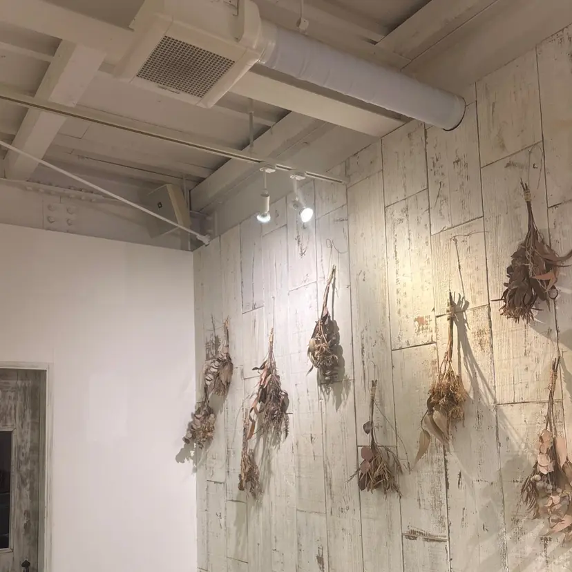 Noma 小谷の掲載