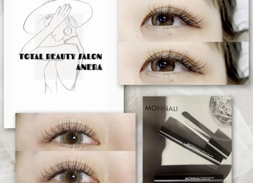 slaon ANERAの掲載