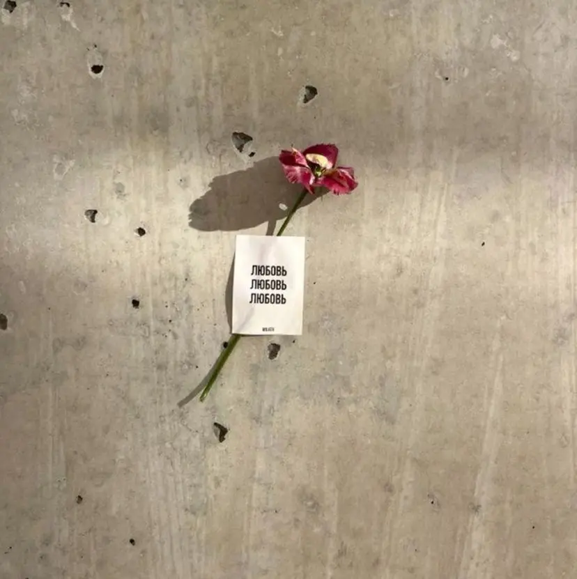 JilL次郎丸店 NATSUの掲載