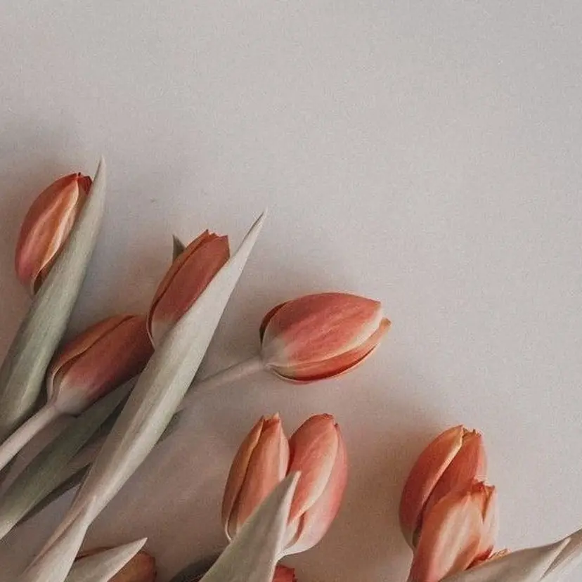 青木 明日香の掲載