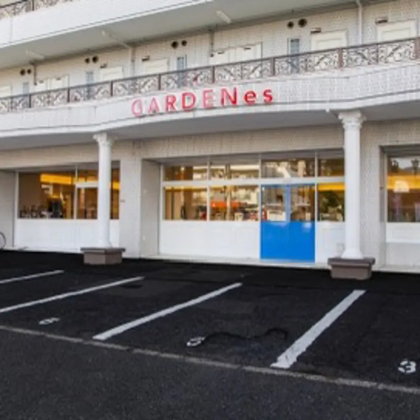 中村 樹菜の掲載