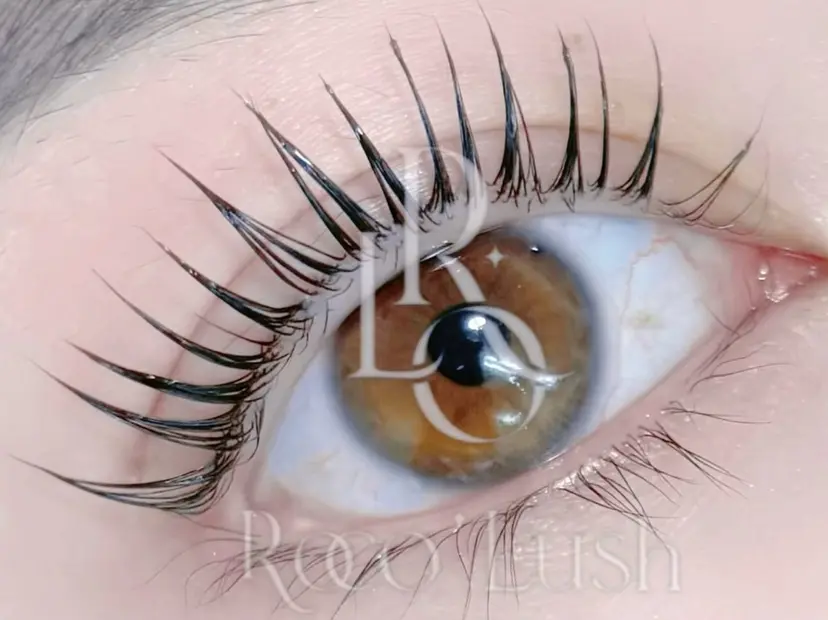 韓国風まつげ🍒 ロコラッシュ自由が丘の掲載