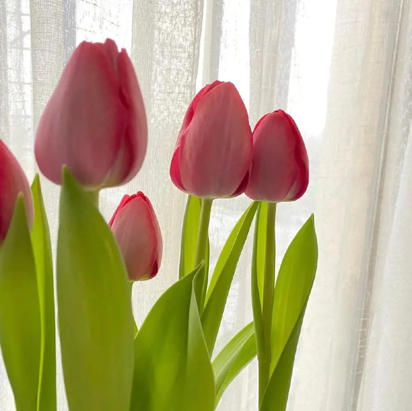 奈々 Nailの掲載