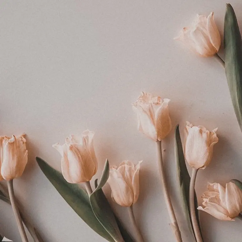 あかり🌷ナチュラル 、透明感カラーの掲載