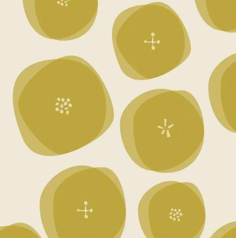 トータルビューティー サロンSolaniaの掲載