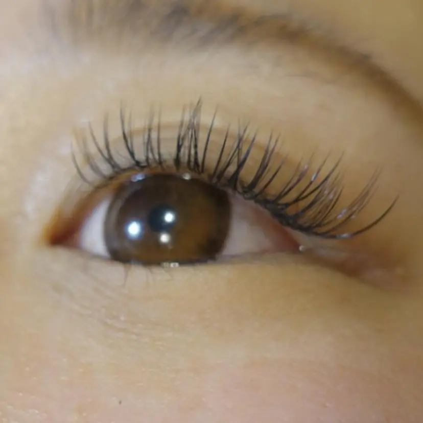 アイデザイナー HIBINOの掲載