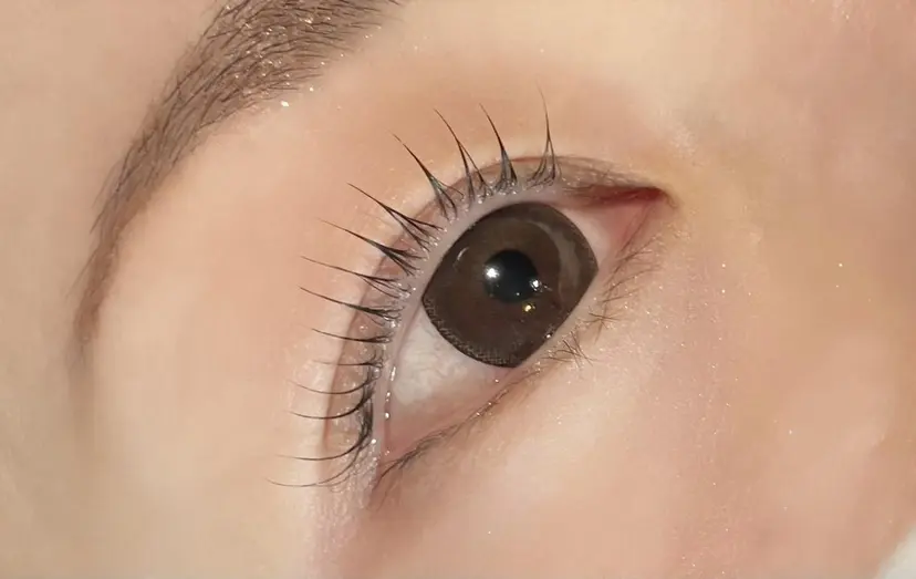 Rena 泉中央の掲載