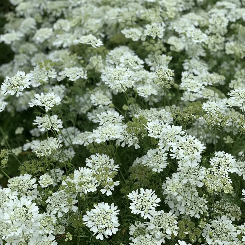 リコラッシュ大宮 mocoの掲載