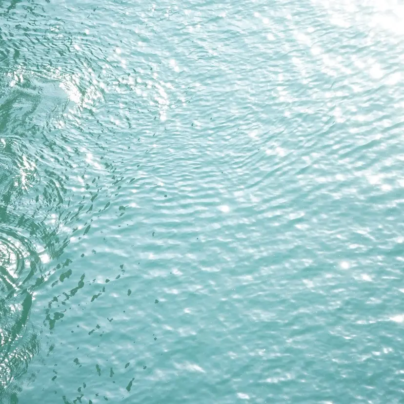 U too e's MANAE🌼の掲載