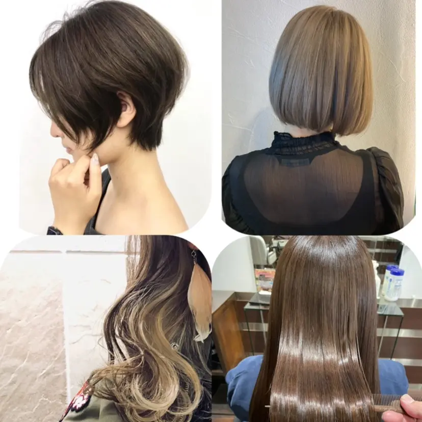 岩崎 裕司の掲載