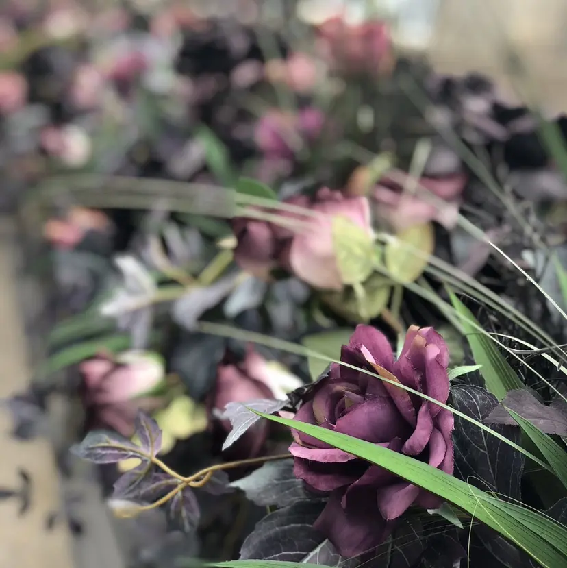 Luz de Amberの掲載