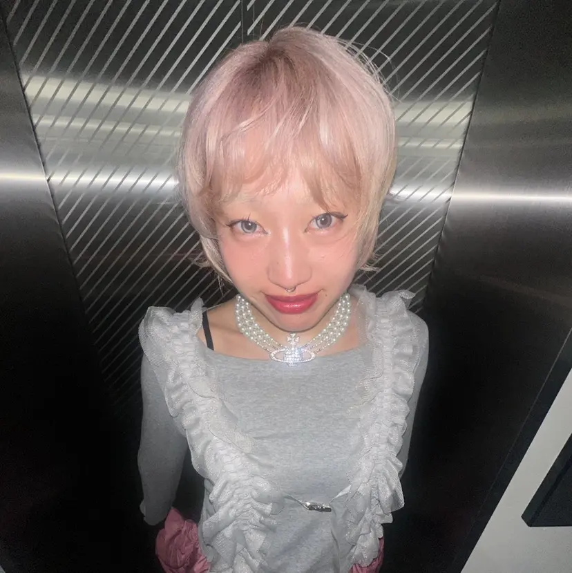 ひな ハイトーンの掲載