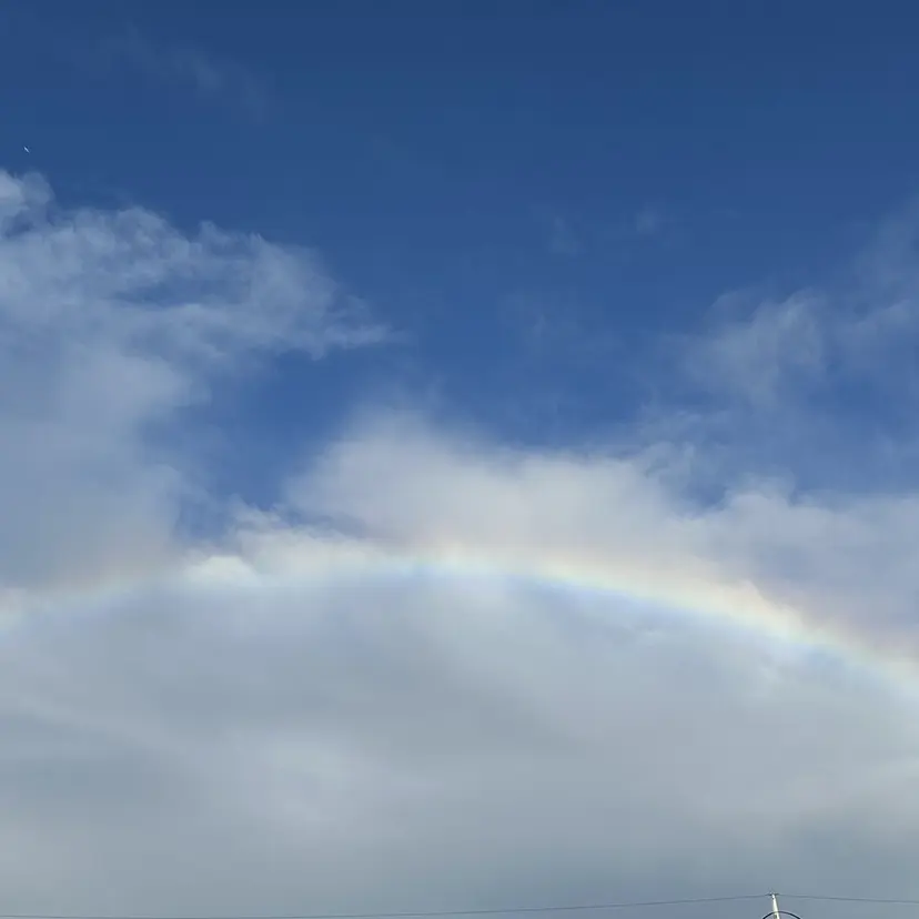 大方 いくみの掲載