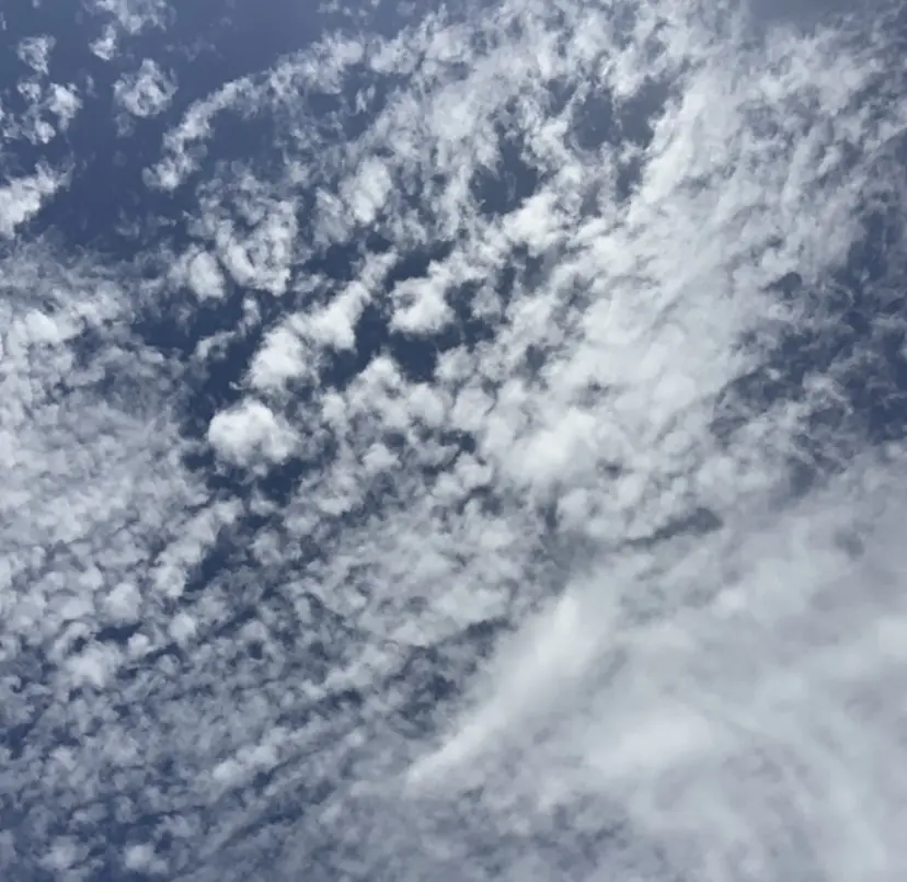 竹井俊介/白髪ぼかし /外国人風カラーの掲載