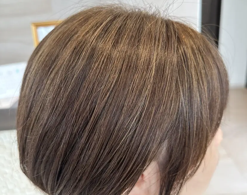 白髪ぼかしモデル 募集中ヒキマカイトの掲載