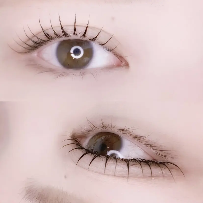 藤下 れなの掲載