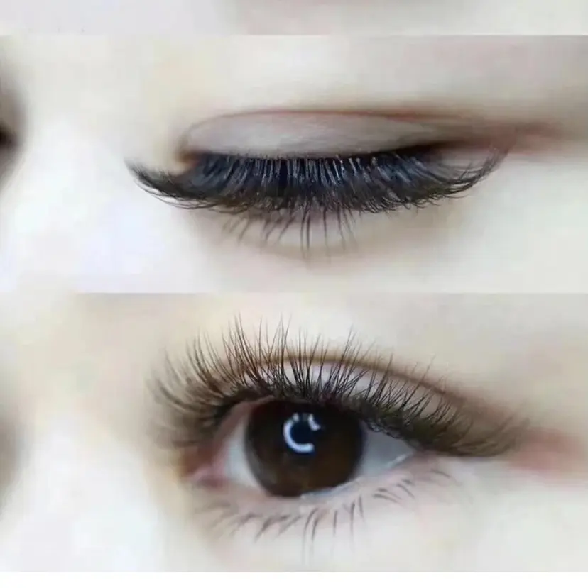 ハヤシ 恵の掲載