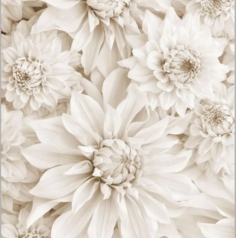 nico kotono🌼の掲載