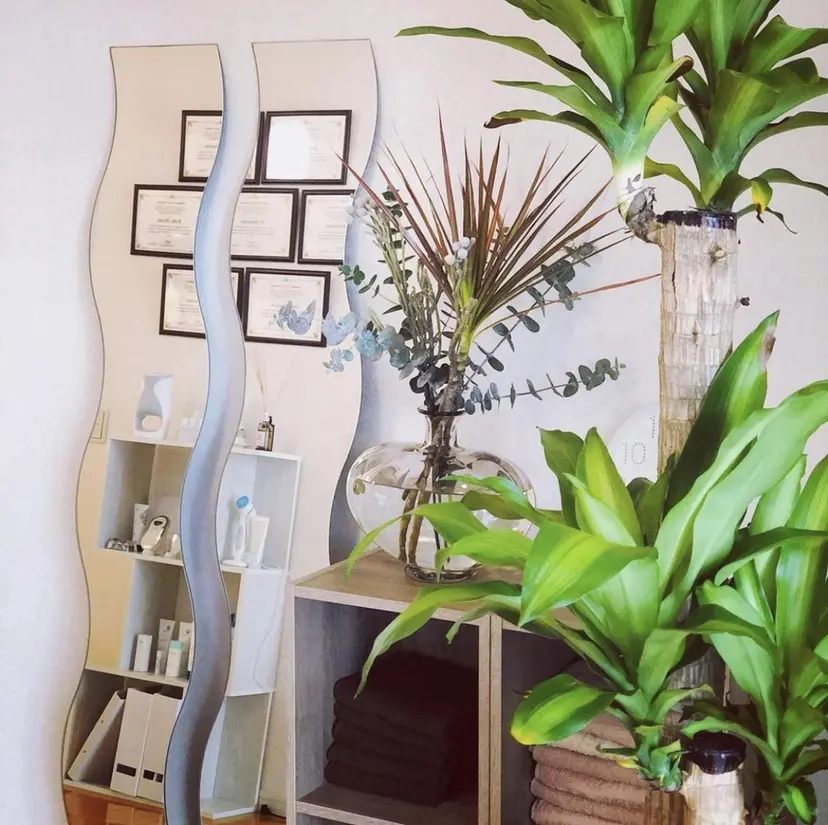 soins d' EvoLの掲載