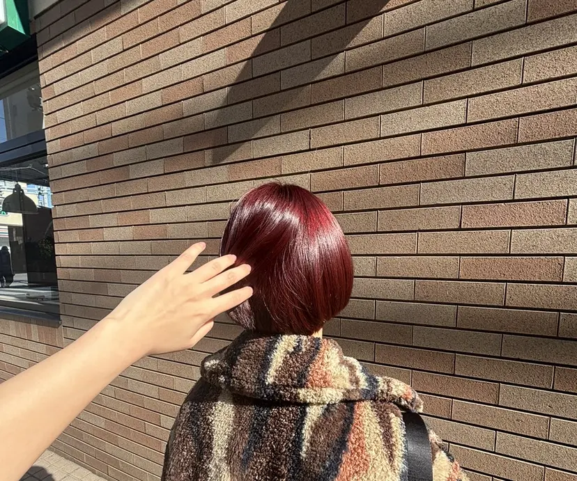 今月限定特別価格！✨ ムウミの掲載