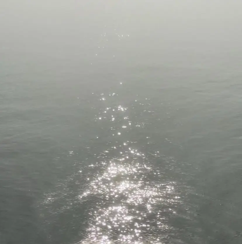 Aoba🦢 【elme】の掲載