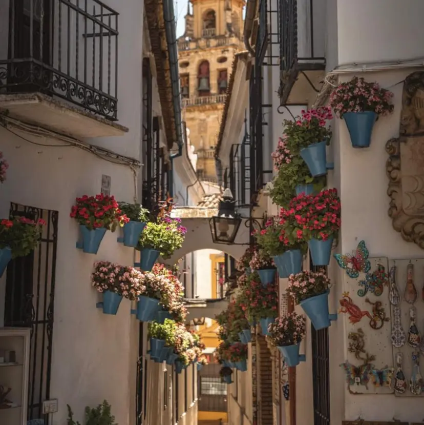 ジュリ@junks __juriの掲載