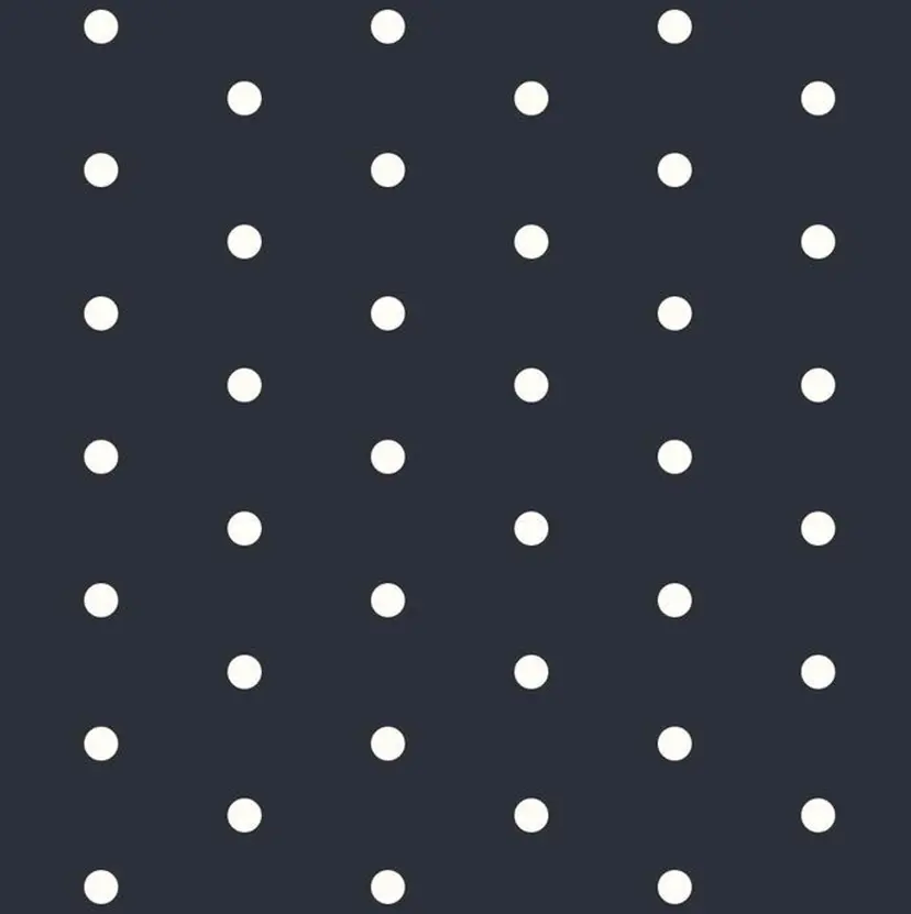 CITY louwe 脇坂彩音の掲載