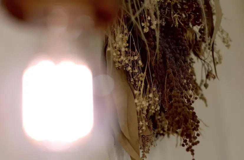 中山 優里の掲載