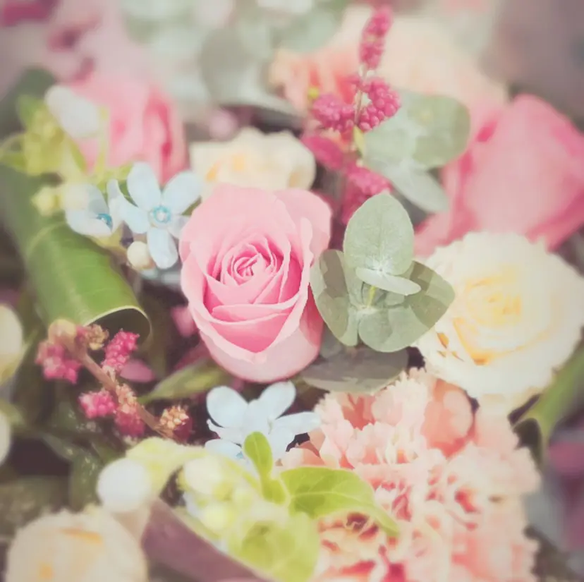 村松 ゆう子の掲載