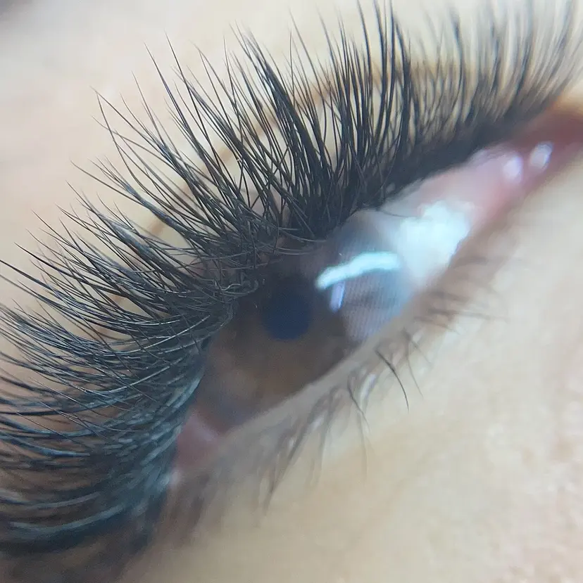 JUJU byTANEの掲載