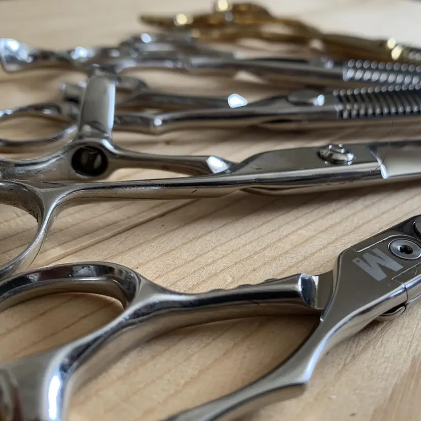 藤原 亮太の掲載