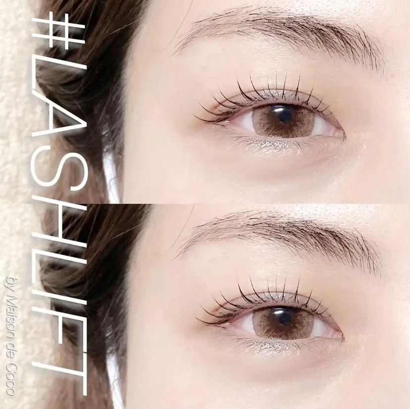 Maison de Cocoの掲載