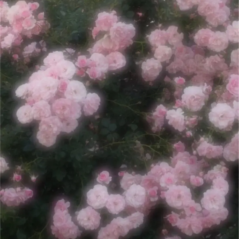 EYELA リアの掲載