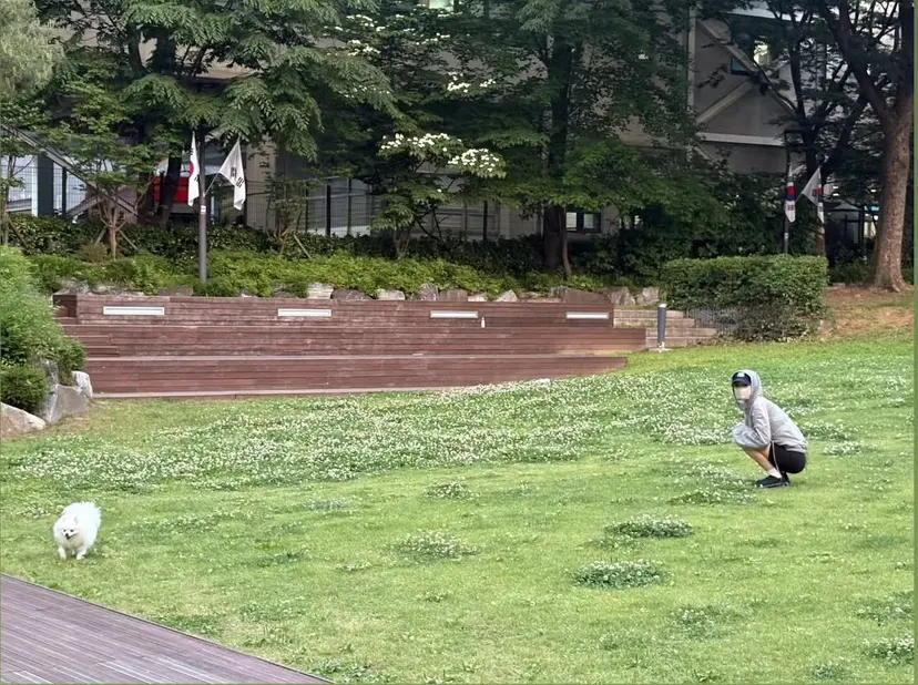 佐藤 春輝の掲載