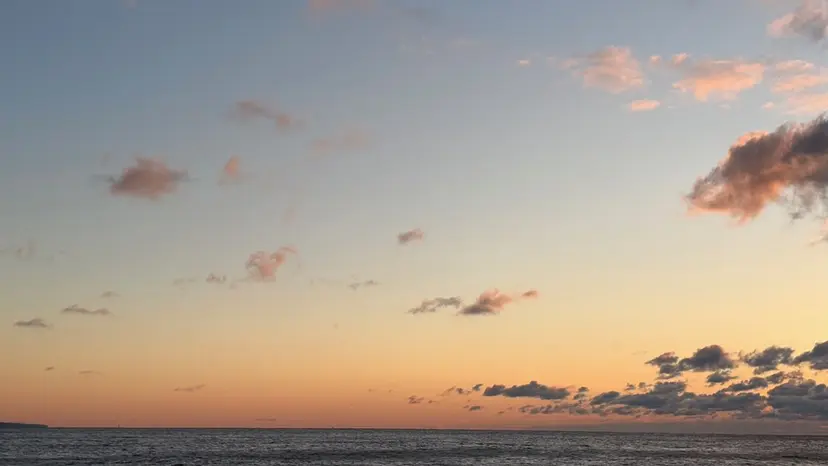 𝐘𝐮𝐢 🤍 costesの掲載