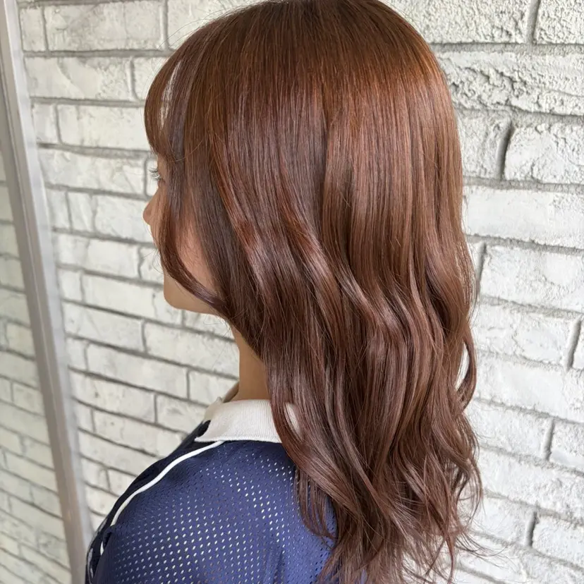 はらだ まおの掲載