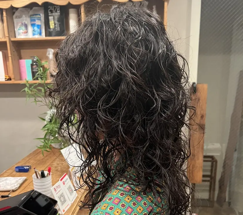 こんの かいの掲載