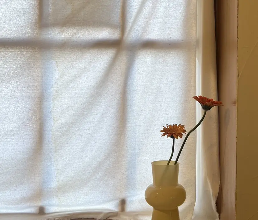 小室 光瑠の掲載