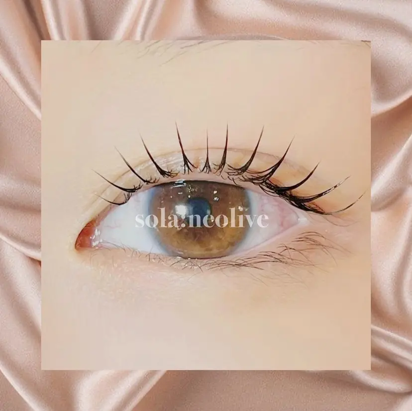 sola: neolive熊田の掲載