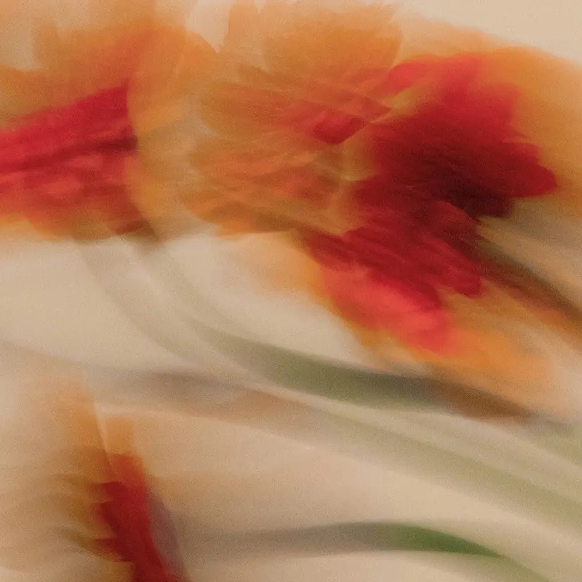 市橋 琴音の掲載