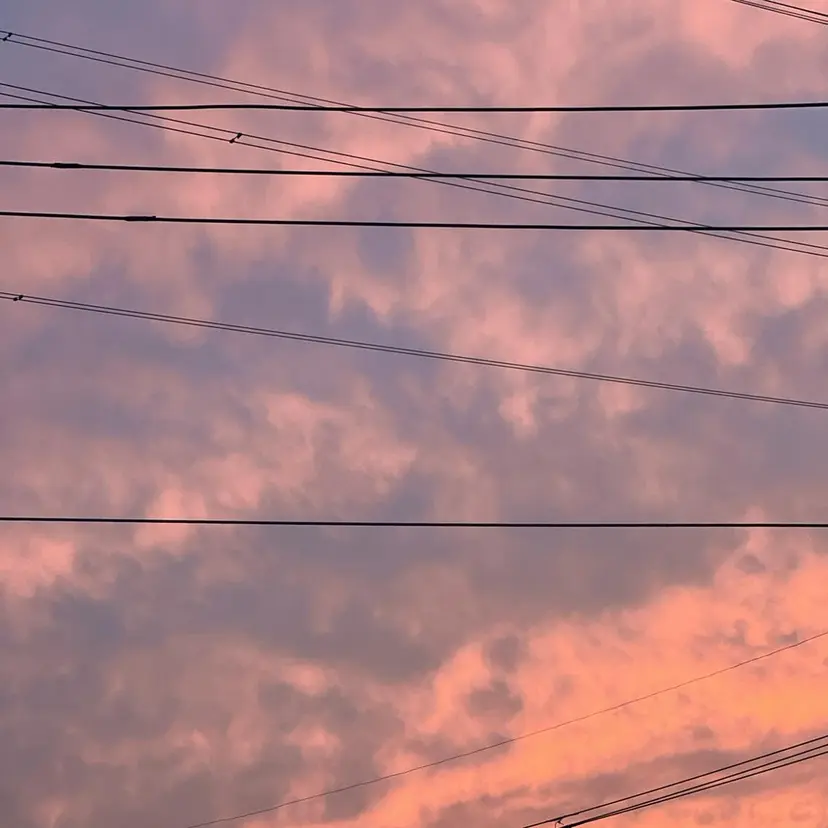 tre.甲子園口店 M A R Iの掲載