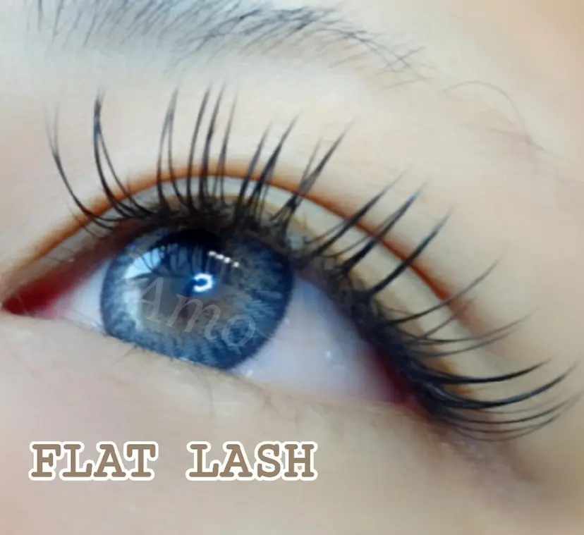 ‘Amo アモの掲載