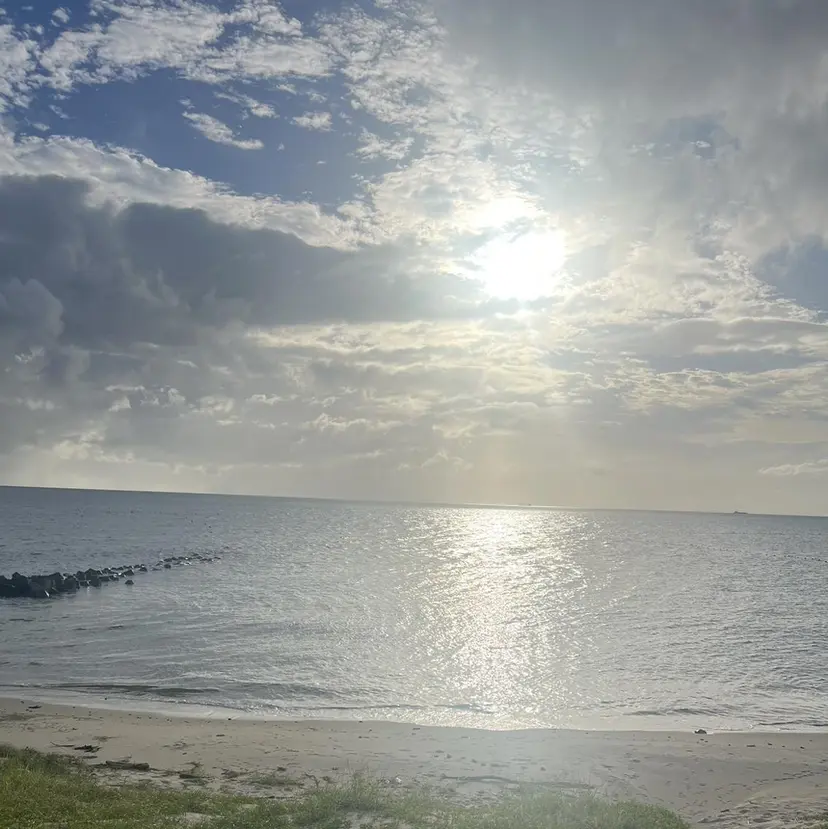 Ichiyanagi Ayanaの掲載