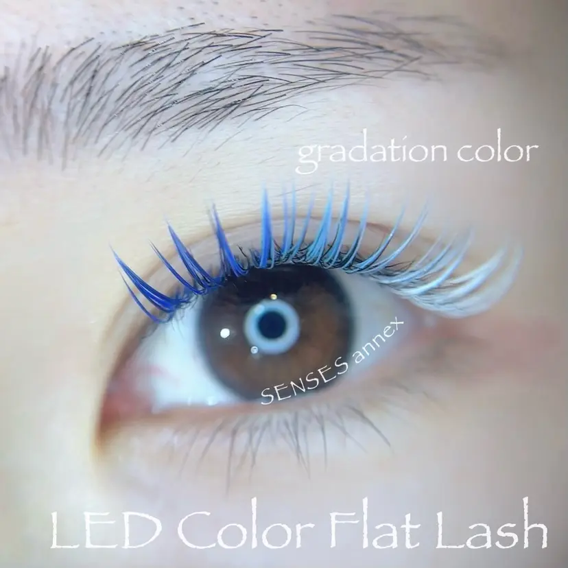 SENSES_ WAKAの掲載